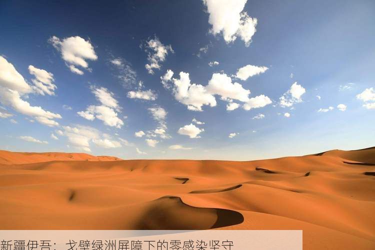 新疆伊吾：戈壁绿洲屏障下的零感染坚守