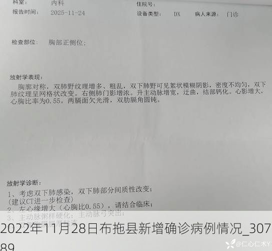 2022年11月28日布拖县新增确诊病例情况_30789