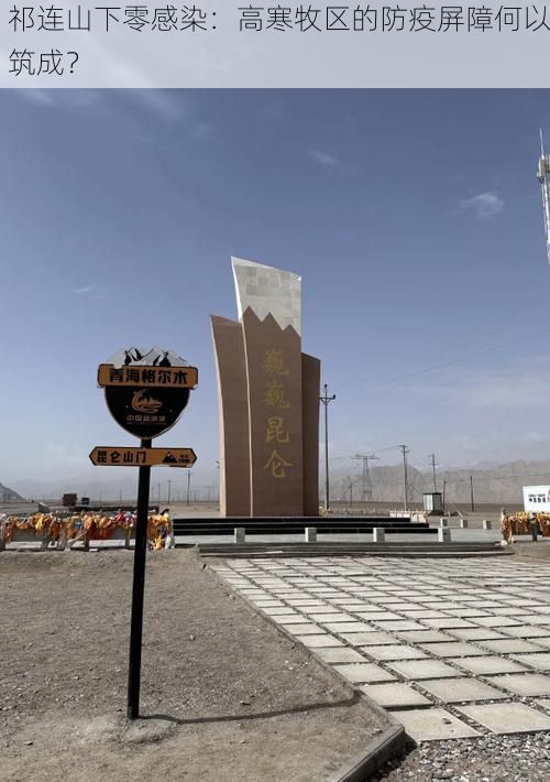 祁连山下零感染：高寒牧区的防疫屏障何以筑成？