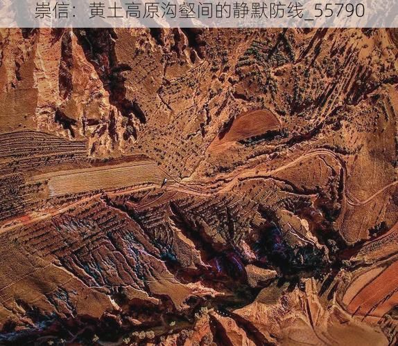 崇信：黄土高原沟壑间的静默防线_55790