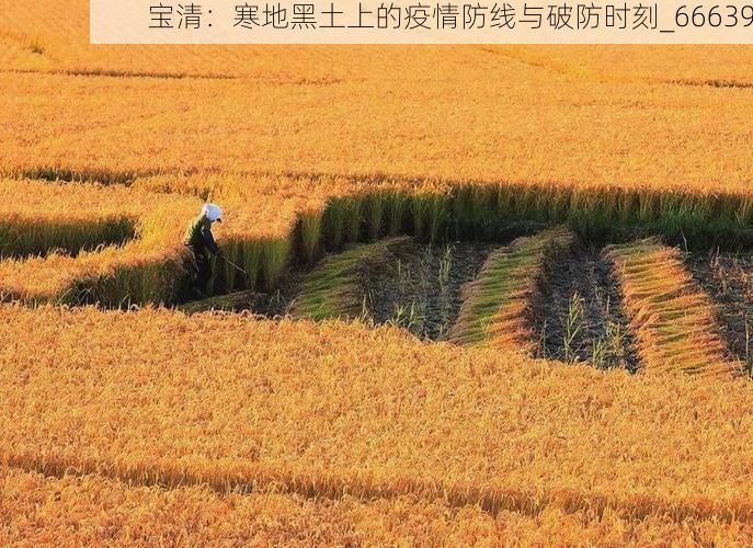 宝清：寒地黑土上的疫情防线与破防时刻_66639