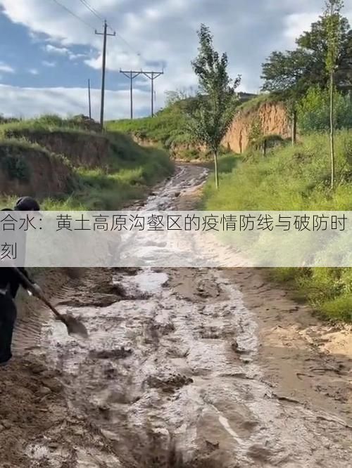 合水：黄土高原沟壑区的疫情防线与破防时刻