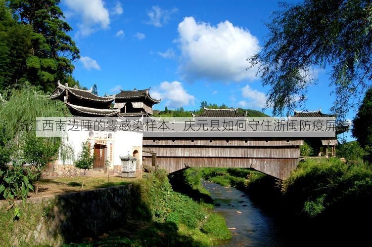 浙江西南边陲的零感染样本：庆元县如何守住浙闽防疫屏障？