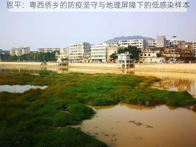 恩平：粤西侨乡的防疫坚守与地理屏障下的低感染样本