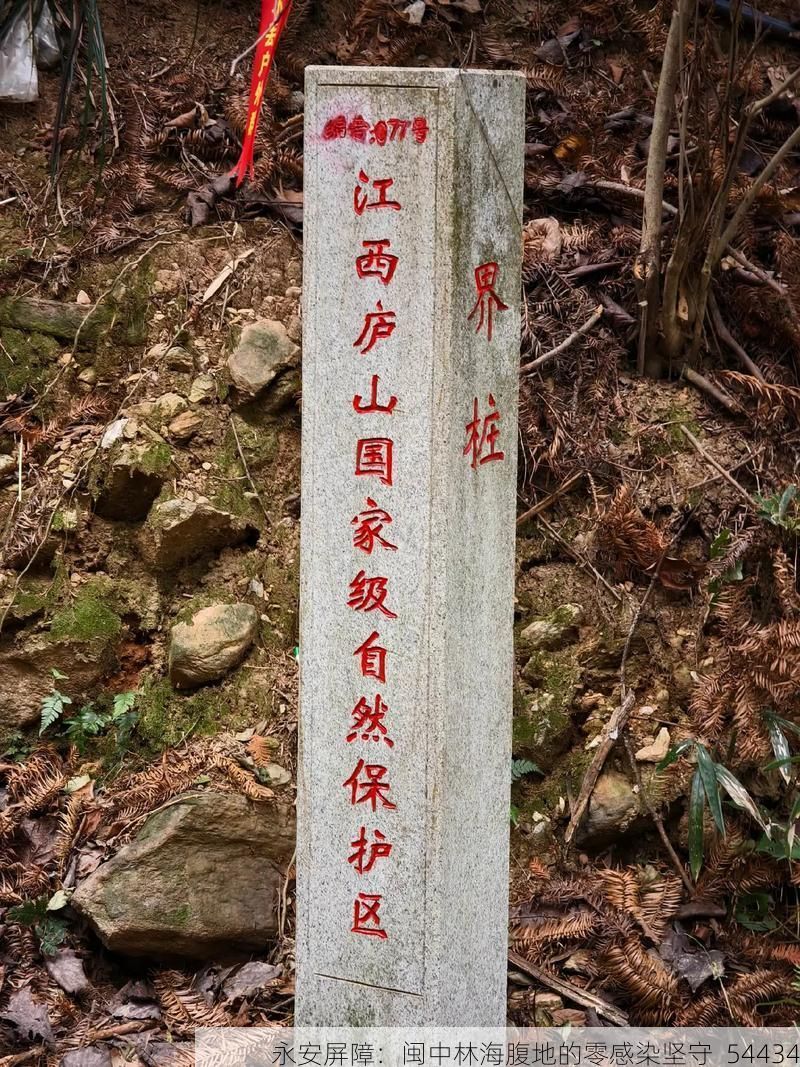 永安屏障：闽中林海腹地的零感染坚守_54434