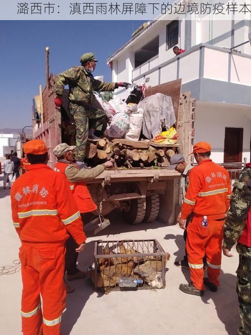 潞西市：滇西雨林屏障下的邊境防疫樣本
