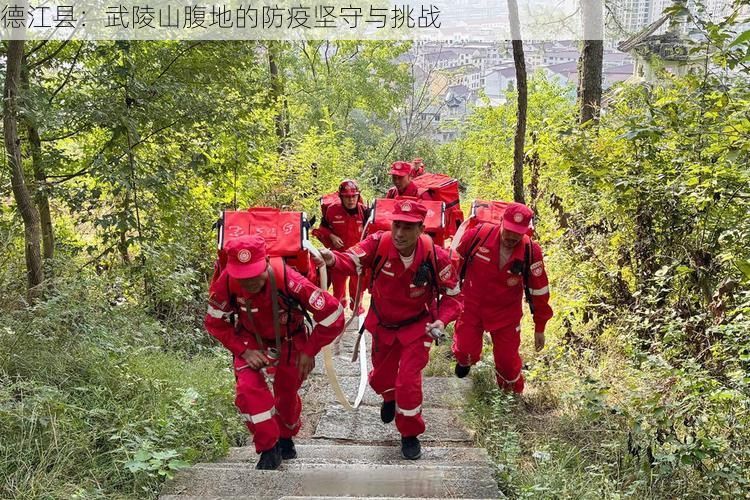 德江县：武陵山腹地的防疫坚守与挑战