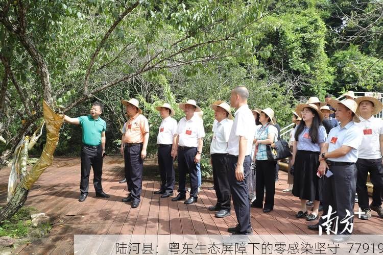 陆河县：粤东生态屏障下的零感染坚守_77919