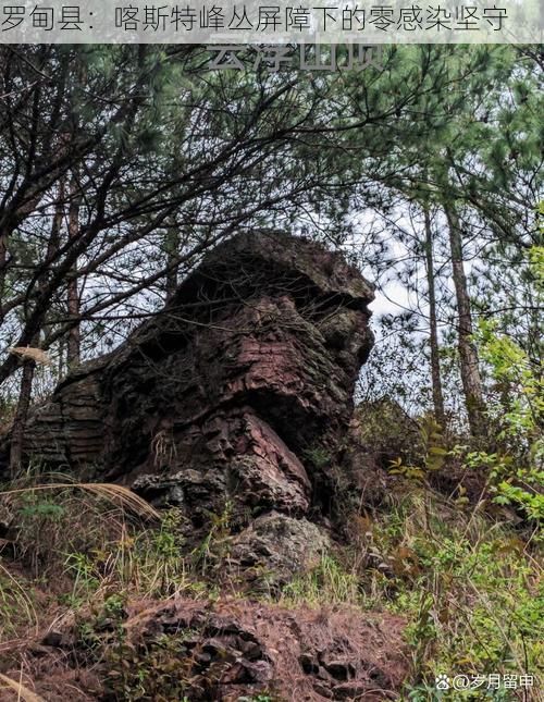 罗甸县：喀斯特峰丛屏障下的零感染坚守