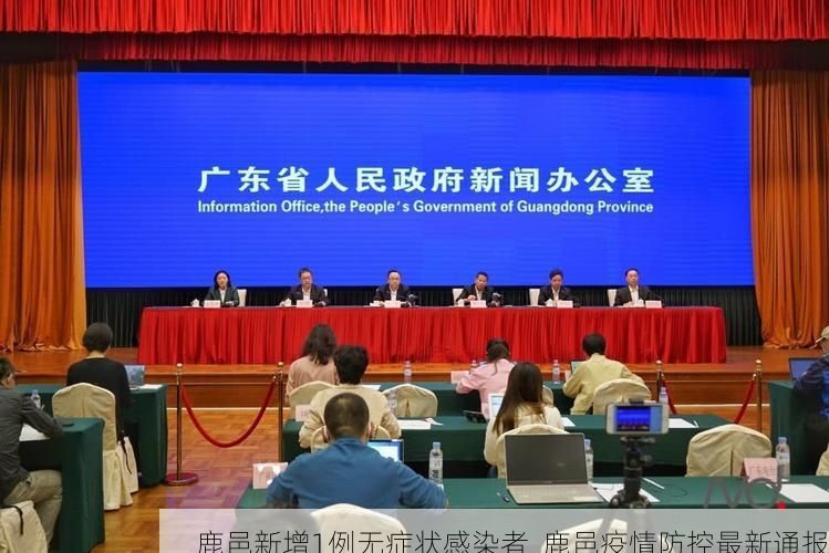 鹿邑新增1例无症状感染者  鹿邑疫情防控最新通报