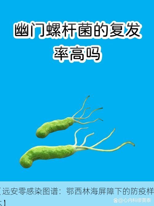 【远安零感染图谱：鄂西林海屏障下的防疫样本】