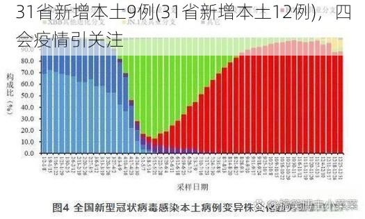 31省新增本土9例(31省新增本土12例)，四会疫情引关注