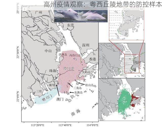 高州疫情觀察：粵西丘陵地帶的防控樣本