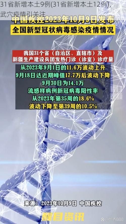 31省新增本土9例(31省新增本土12例)，武穴疫情引關(guān)注