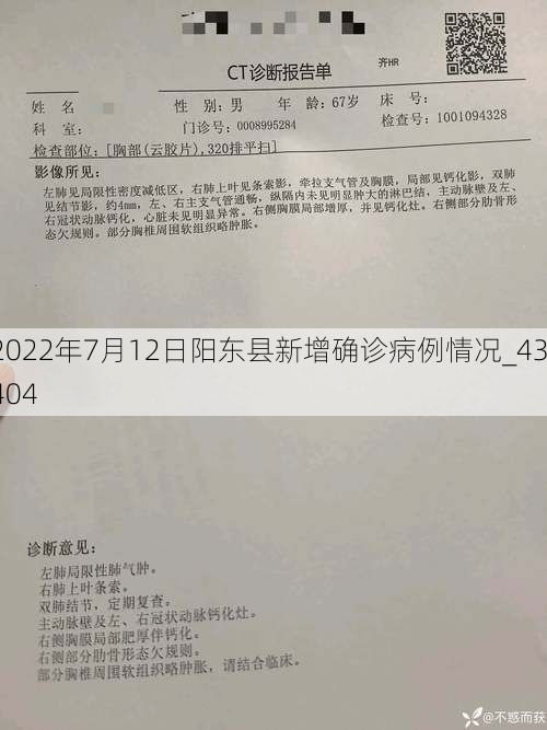 2022年7月12日陽(yáng)東縣新增確診病例情況_43404