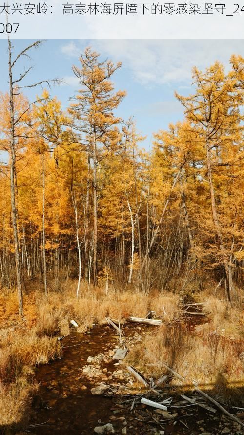 大兴安岭：高寒林海屏障下的零感染坚守_24007