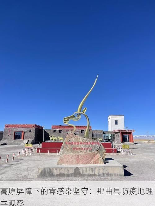 高原屏障下的零感染堅(jiān)守：那曲縣防疫地理學(xué)觀察