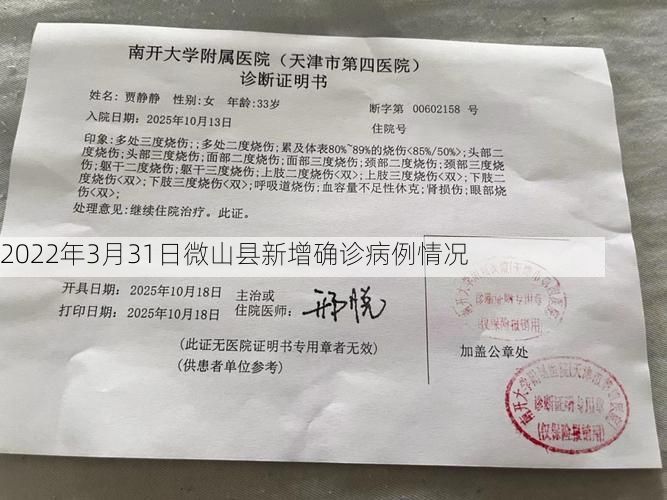 2022年3月31日微山县新增确诊病例情况