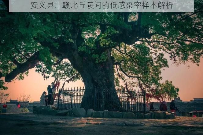 安義縣：贛北丘陵間的低感染率樣本解析