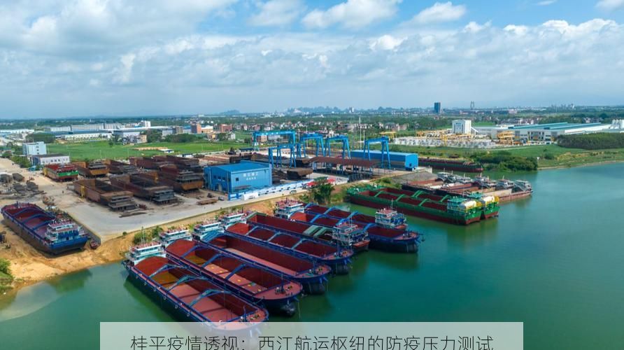 桂平疫情透視：西江航運(yùn)樞紐的防疫壓力測試