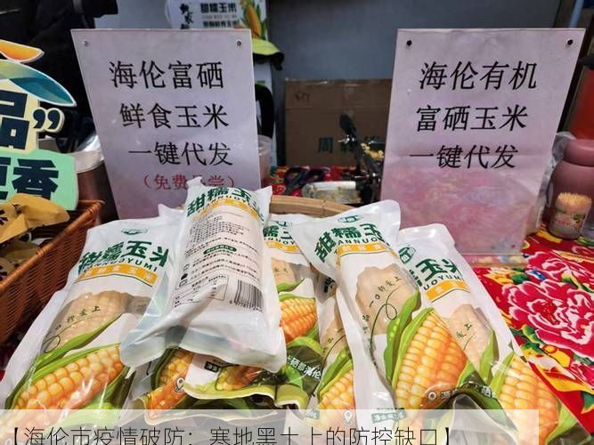 【海伦市疫情破防：寒地黑土上的防控缺口】