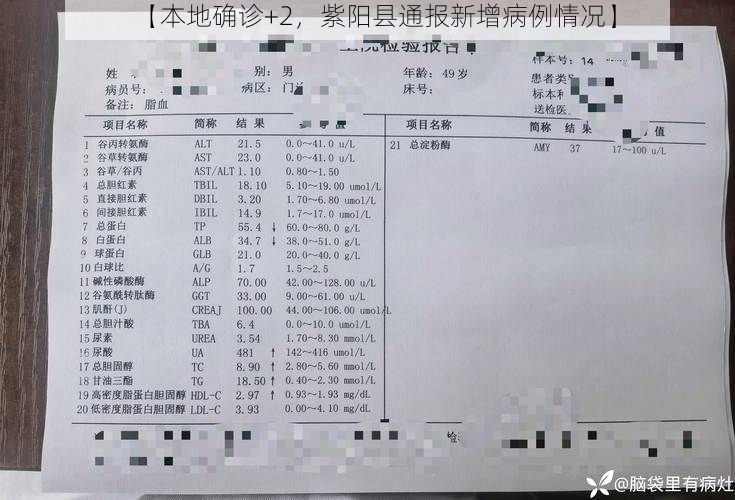 【本地確診+2，紫陽縣通報新增病例情況】
