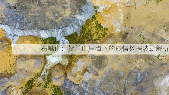 石嘴山：賀蘭山屏障下的疫情數(shù)據(jù)波動(dòng)解析