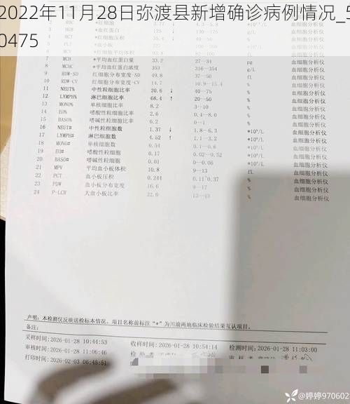 2022年11月28日弥渡县新增确诊病例情况_50475