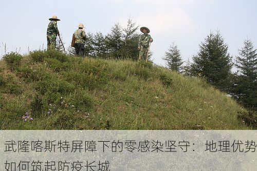 武隆喀斯特屏障下的零感染坚守：地理优势如何筑起防疫长城