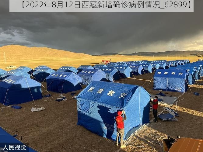 【2022年8月12日西藏新增确诊病例情况_62899】