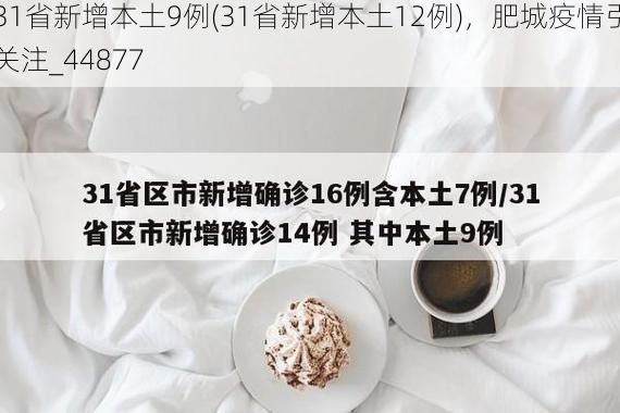 31省新增本土9例(31省新增本土12例)，肥城疫情引關(guān)注_44877