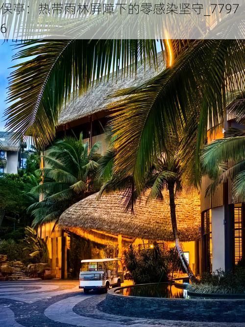 保亭：热带雨林屏障下的零感染坚守_77976