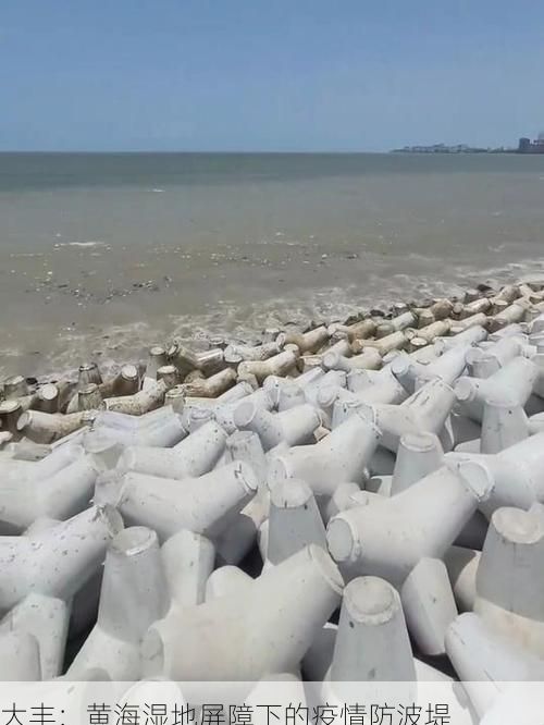 大丰：黄海湿地屏障下的疫情防波堤