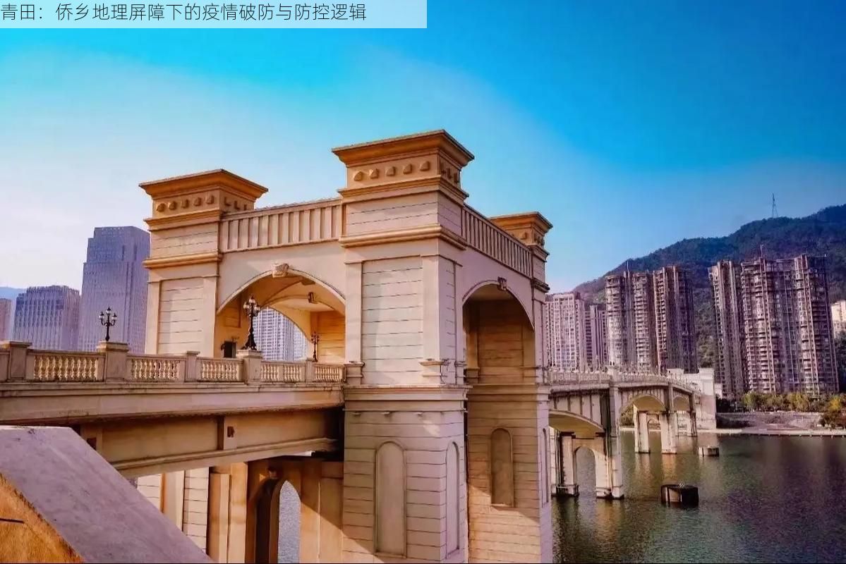 青田：侨乡地理屏障下的疫情破防与防控逻辑