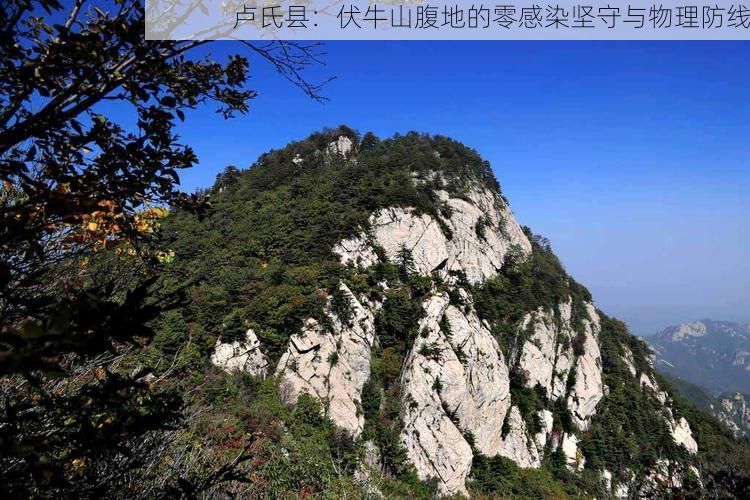 卢氏县：伏牛山腹地的零感染坚守与物理防线