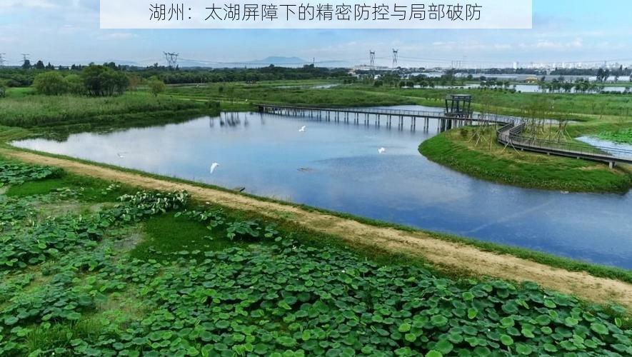 湖州：太湖屏障下的精密防控与局部破防