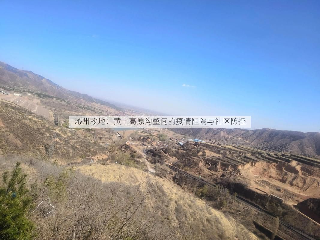 沁州故地：黄土高原沟壑间的疫情阻隔与社区防控