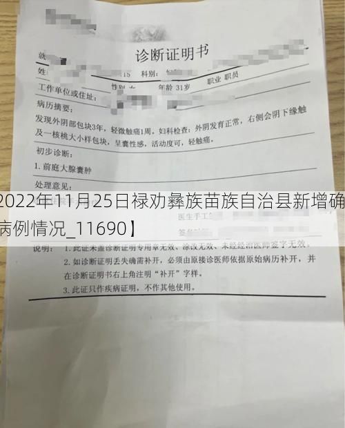 【2022年11月25日禄劝彝族苗族自治县新增确诊病例情况_11690】