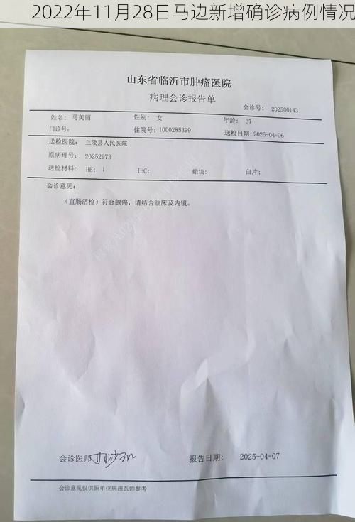 2022年11月28日馬邊新增確診病例情況