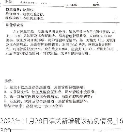 2022年11月28日偏关新增确诊病例情况_16300