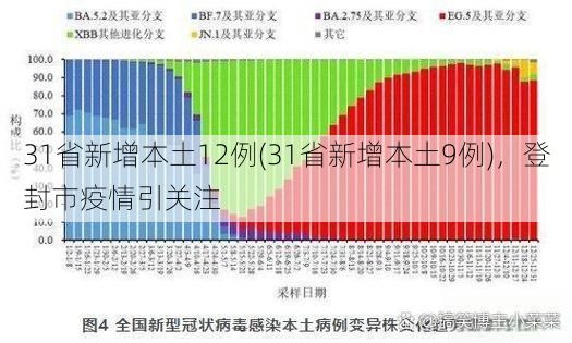 31省新增本土12例(31省新增本土9例)，登封市疫情引关注