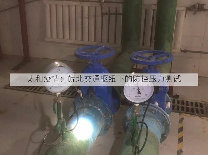 太和疫情：皖北交通枢纽下的防控压力测试