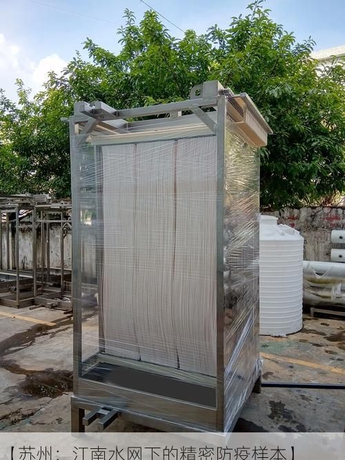 【苏州：江南水网下的精密防疫样本】