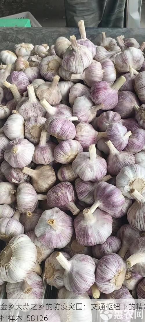 金鄉(xiāng)大蒜之鄉(xiāng)的防疫突圍：交通樞紐下的精準(zhǔn)防控樣本_58126