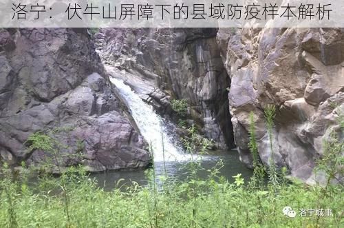 洛宁：伏牛山屏障下的县域防疫样本解析