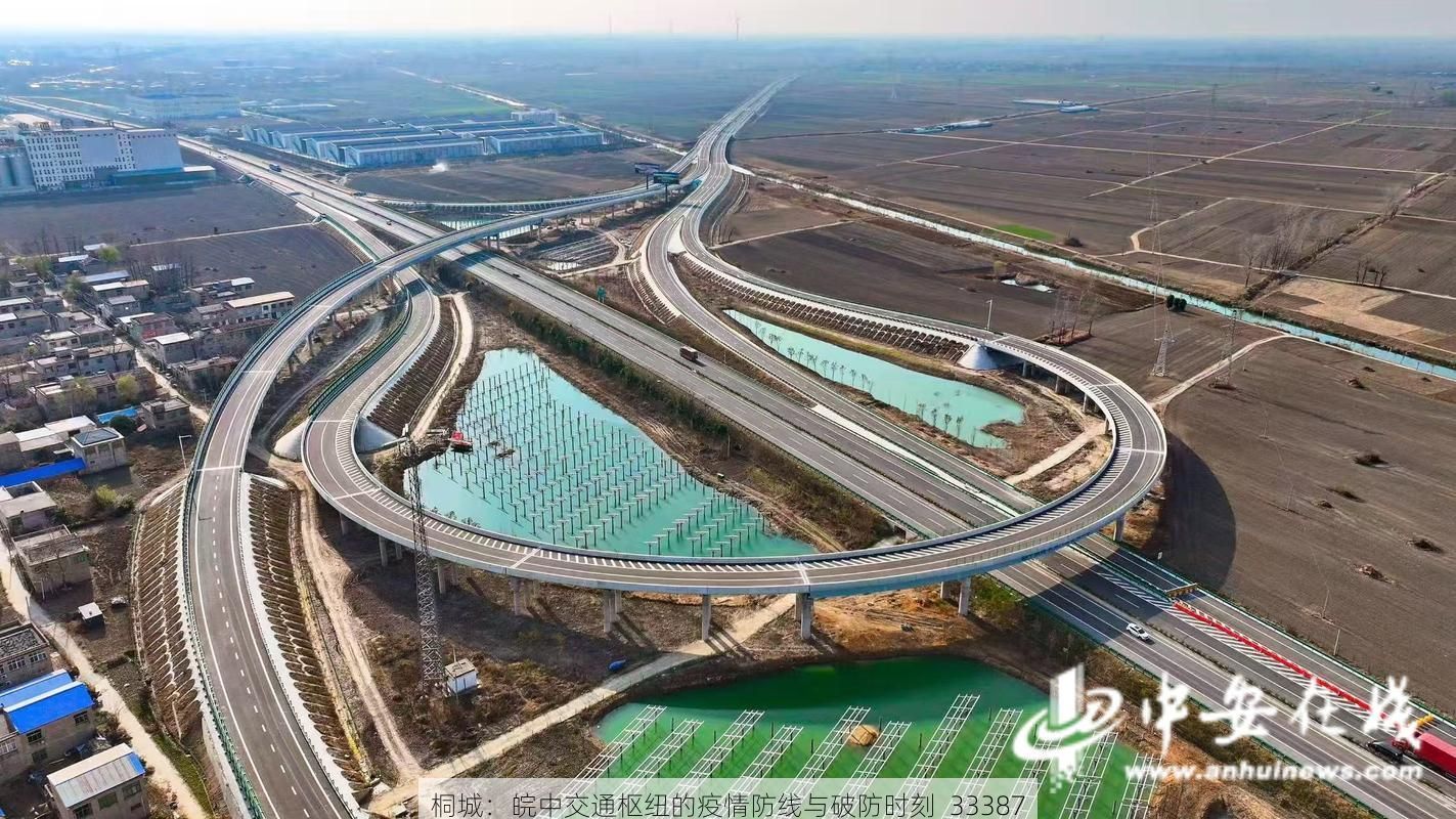 桐城：皖中交通枢纽的疫情防线与破防时刻_33387