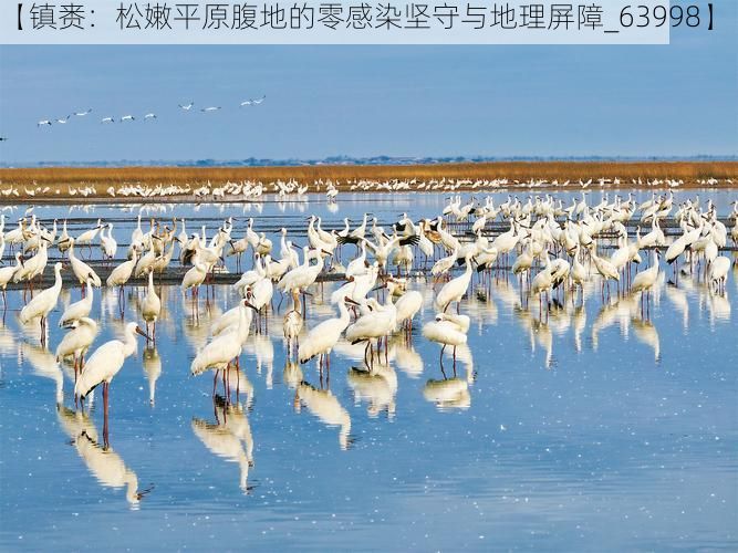 【鎮(zhèn)賚：松嫩平原腹地的零感染堅(jiān)守與地理屏障_63998】