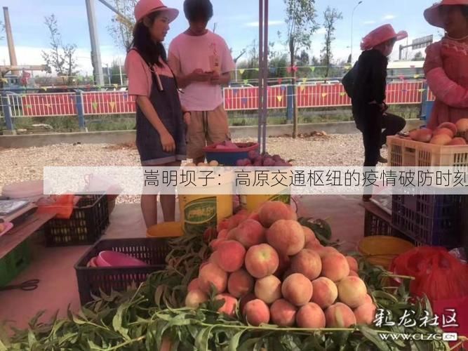 嵩明坝子：高原交通枢纽的疫情破防时刻