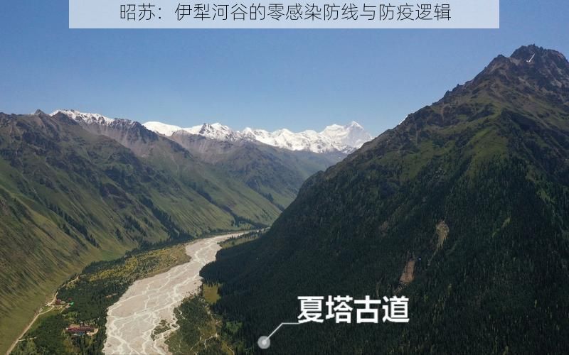 昭苏：伊犁河谷的零感染防线与防疫逻辑