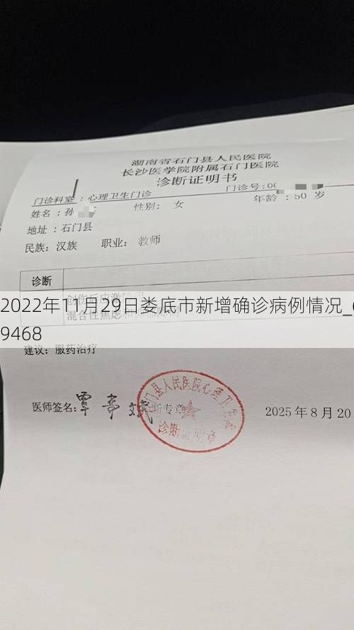 2022年11月29日婁底市新增確診病例情況_69468